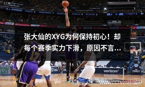 张大仙的XYG为何保持初心！却每个赛季实力下滑，原因不言而喻 张大仙战队xyg打的啥比赛