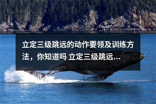 立定三级跳远的动作要领及训练方法，你知道吗 立定三级跳远口诀