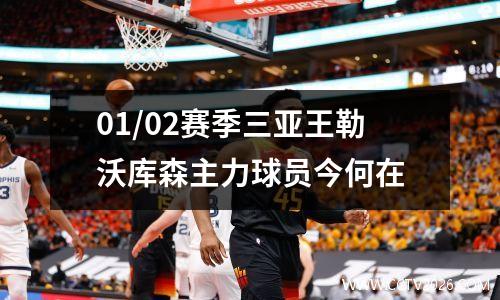 01/02赛季三亚王勒沃库森主力球员今何在