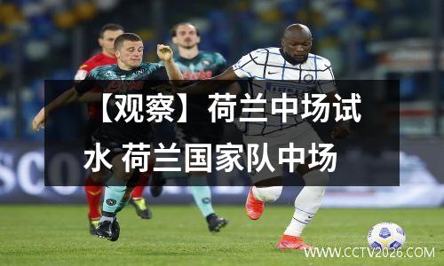 【观察】荷兰中场试水 荷兰国家队中场