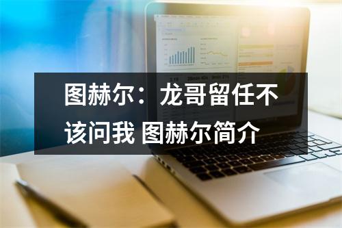 图赫尔：龙哥留任不该问我 图赫尔简介