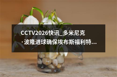 CCTV2026快讯_多米尼克·波隆进球确保埃布斯福利特战平