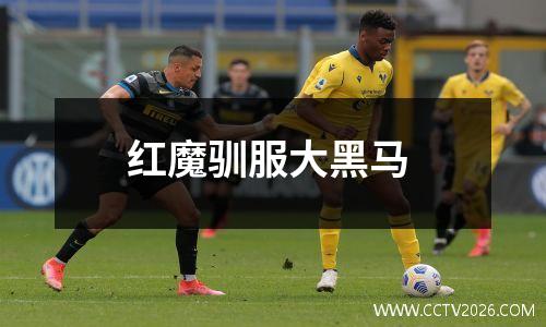 红魔驯服大黑马