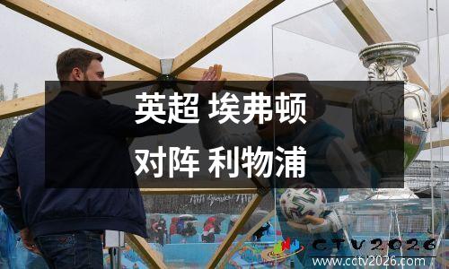 英超 埃弗顿 对阵 利物浦