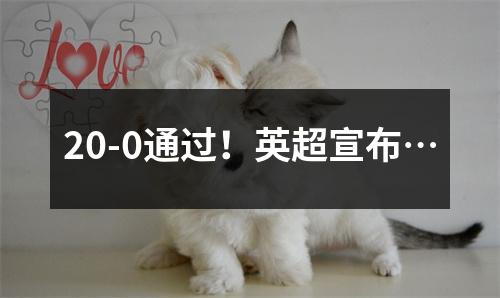20-0通过！英超宣布…