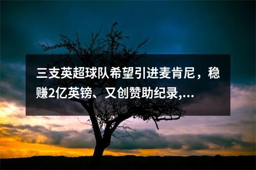 三支英超球队希望引进麦肯尼，稳赚2亿英镑、又创赞助纪录,未来的英超黑马就是它了