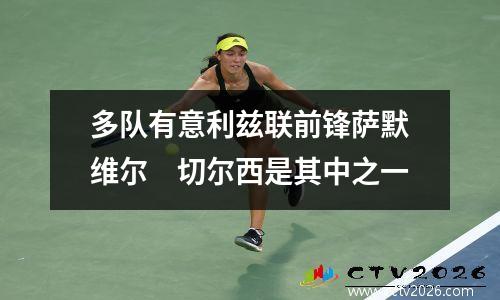 多队有意利兹联前锋萨默维尔　切尔西是其中之一