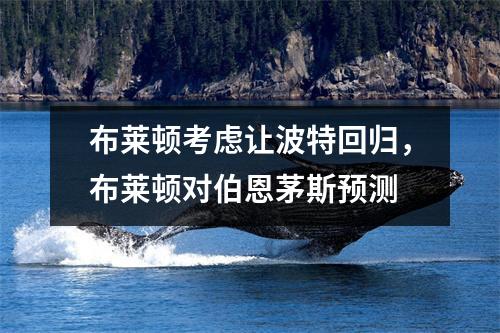 布莱顿考虑让波特回归，布莱顿对伯恩茅斯预测