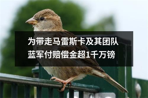 为带走马雷斯卡及其团队 蓝军付赔偿金超1千万镑