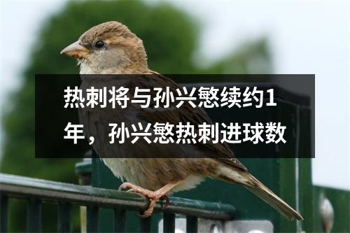热刺将与孙兴慜续约1年，孙兴慜热刺进球数