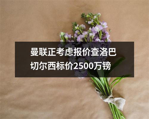曼联正考虑报价查洛巴 切尔西标价2500万镑