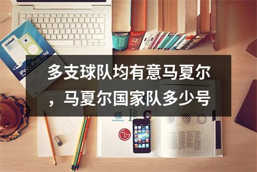 多支球队均有意马夏尔，马夏尔国家队多少号