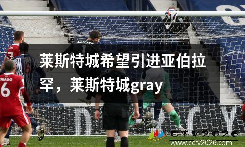 莱斯特城希望引进亚伯拉罕，莱斯特城gray