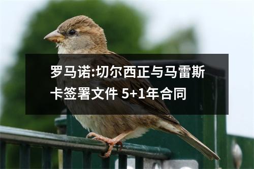 罗马诺:切尔西正与马雷斯卡签署文件 5+1年合同