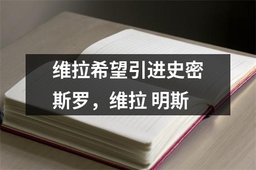 维拉希望引进史密斯罗，维拉 明斯