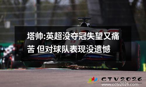 塔帅:英超没夺冠失望又痛苦 但对球队表现没遗憾