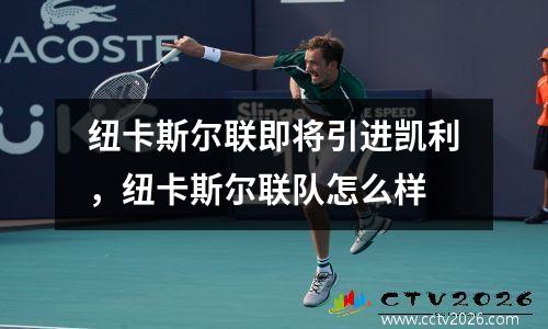 纽卡斯尔联即将引进凯利，纽卡斯尔联队怎么样
