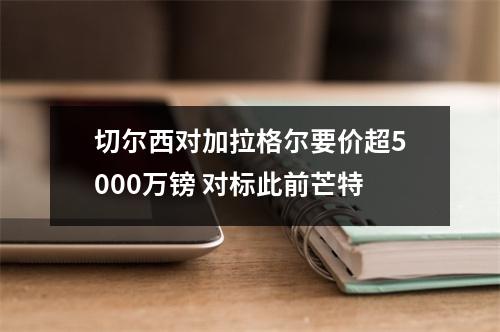 切尔西对加拉格尔要价超5000万镑 对标此前芒特