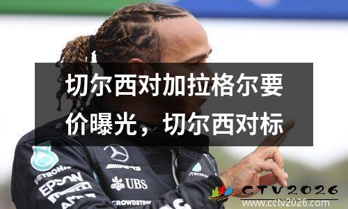 切尔西对加拉格尔要价曝光，切尔西对标
