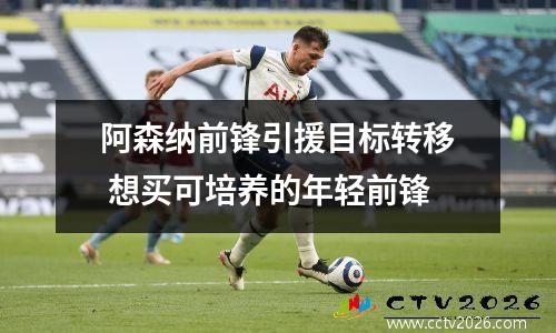阿森纳前锋引援目标转移 想买可培养的年轻前锋