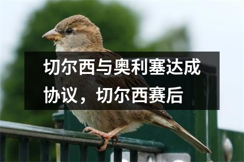 切尔西与奥利塞达成协议，切尔西赛后