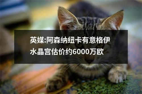 英媒:阿森纳纽卡有意格伊 水晶宫估价约6000万欧