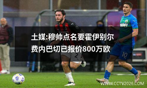 土媒:穆帅点名要霍伊别尔 费内巴切已报价800万欧