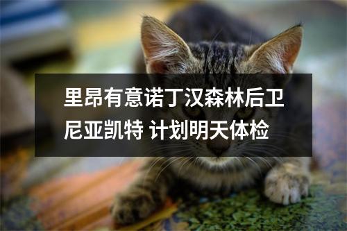 里昂有意诺丁汉森林后卫尼亚凯特 计划明天体检