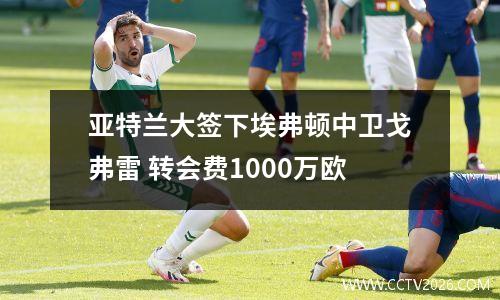 亚特兰大签下埃弗顿中卫戈弗雷 转会费1000万欧