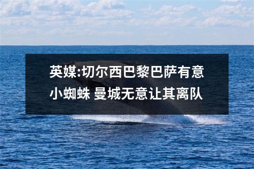 英媒:切尔西巴黎巴萨有意小蜘蛛 曼城无意让其离队