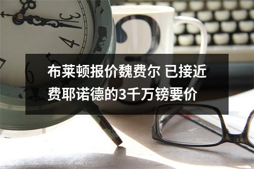 布莱顿报价魏费尔 已接近费耶诺德的3千万镑要价