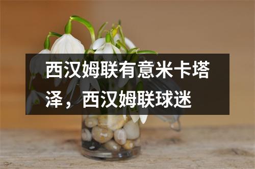 西汉姆联有意米卡塔泽，西汉姆联球迷