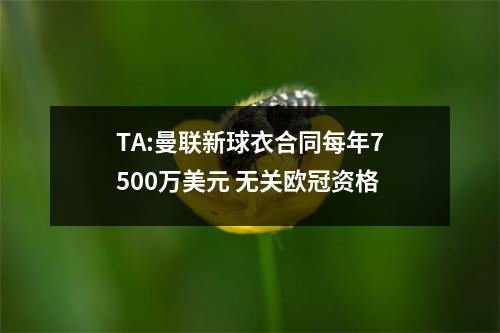 TA:曼联新球衣合同每年7500万美元 无关欧冠资格