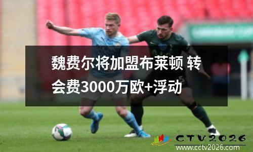 魏费尔将加盟布莱顿 转会费3000万欧+浮动