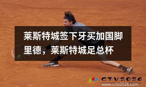 莱斯特城签下牙买加国脚里德，莱斯特城足总杯