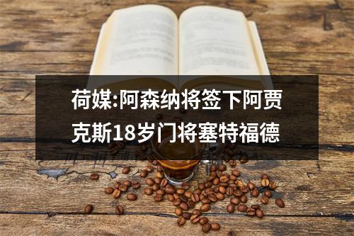 荷媒:阿森纳将签下阿贾克斯18岁门将塞特福德