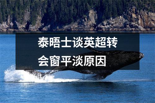 泰晤士谈英超转会窗平淡原因