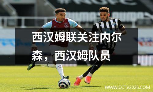 西汉姆联关注内尔森，西汉姆队员