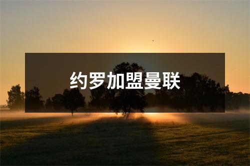 约罗加盟曼联