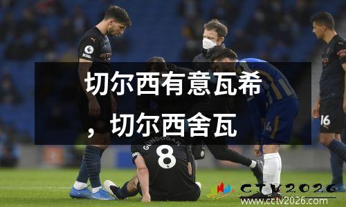 切尔西有意瓦希，切尔西舍瓦