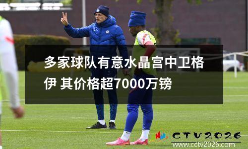 多家球队有意水晶宫中卫格伊 其价格超7000万镑