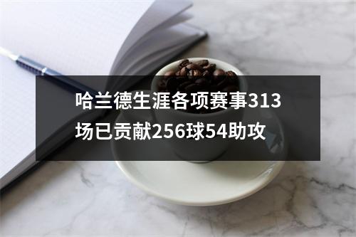 哈兰德生涯各项赛事313场已贡献256球54助攻