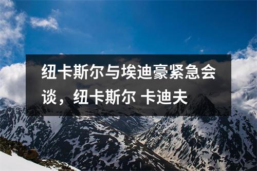 纽卡斯尔与埃迪豪紧急会谈，纽卡斯尔 卡迪夫