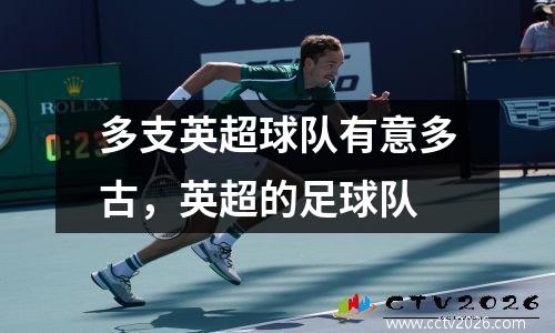 多支英超球队有意多古，英超的足球队
