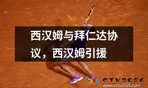 西汉姆与拜仁达协议，西汉姆引援
