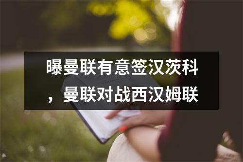 曝曼联有意签汉茨科，曼联对战西汉姆联