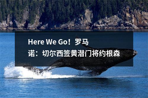Here We Go！罗马诺：切尔西签黄潜门将约根森