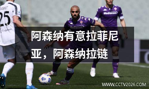 阿森纳有意拉菲尼亚，阿森纳拉链