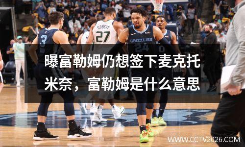 曝富勒姆仍想签下麦克托米奈，富勒姆是什么意思