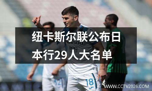 纽卡斯尔联公布日本行29人大名单